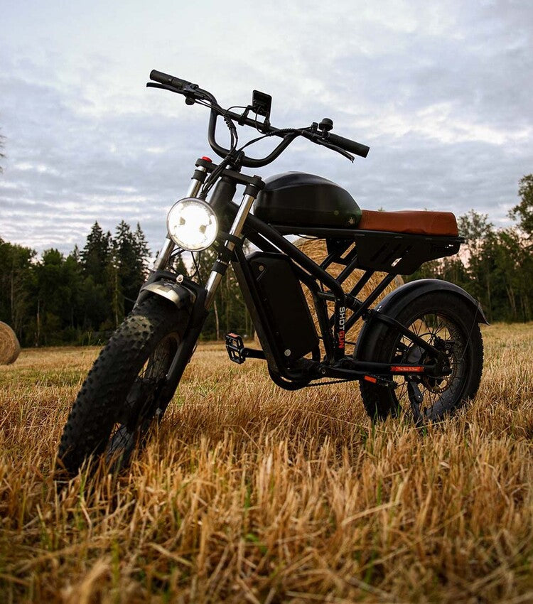 Freego F3 Pro Electric bike in a field with trees in the background