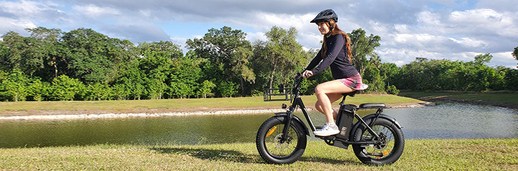 Freego cargo ebike