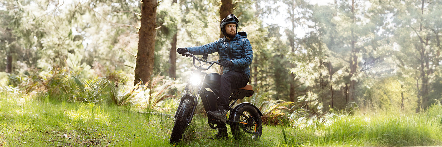 freego electric motorcycle