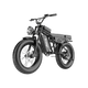 Freego Shotgun Lite F0: Ideal Electric Bike for Short Riders (4'11" to 5'11")