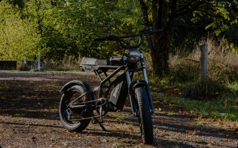 Freego F3 Pro Max fat tire e-bike parked in a wilderness setting.