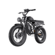Freego Flash F3 Pro Max Dual Motor and Battery eBike