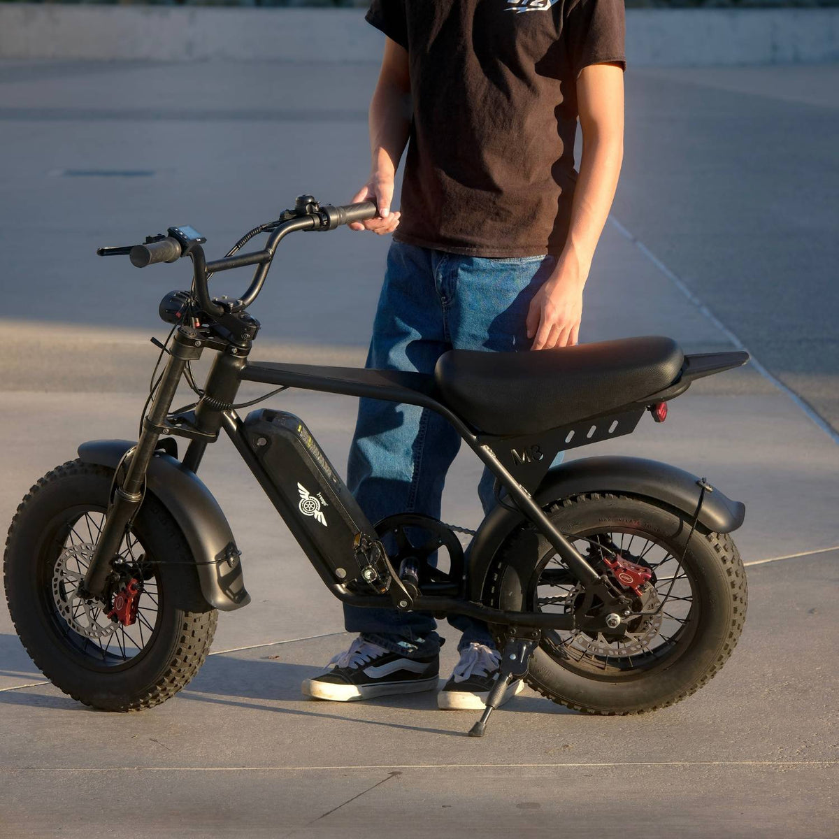 Rider standing beside a black Freego M3 electric mini bike on a paved area.
