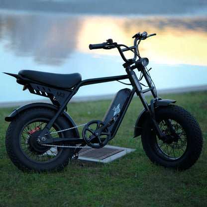 Black Freego M3 electric mini bike parked on grass beside the water at sunset.