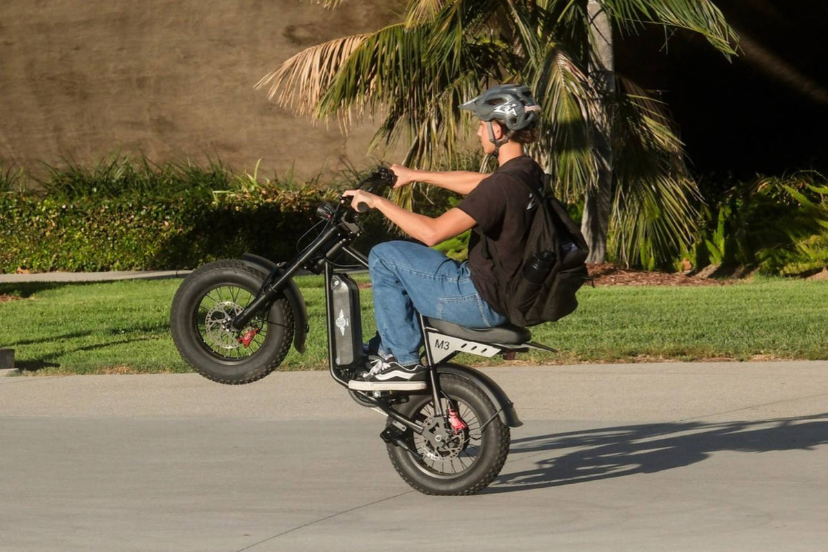 Wide view of a helmeted rider performing a wheelie on a Freego M3 electric mini bike near palm trees.