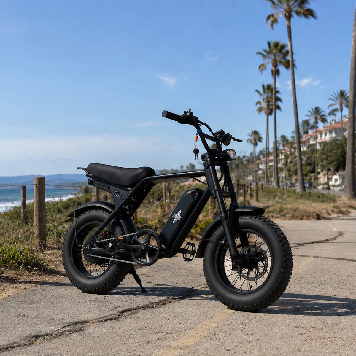 Freego M3 fat tire e-bike parked on a palm-lined coastal path