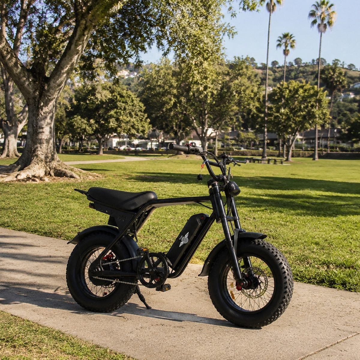 Freego M3 fat tire e-bike parked on a sunny park path