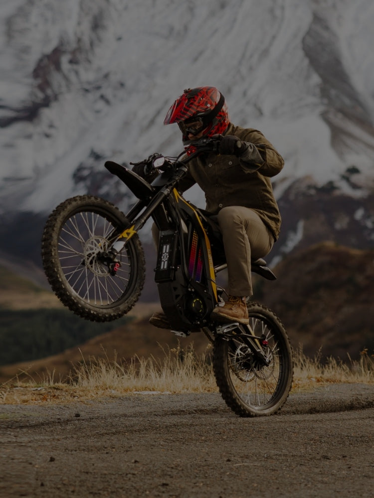 Person riding a Freego N1 bike on a mountain road with snow-capped mountains in the background