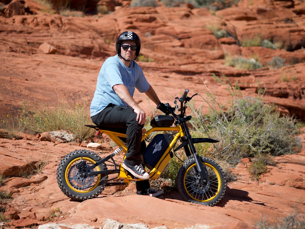 Freego Nova 2 Electric Bike person riding