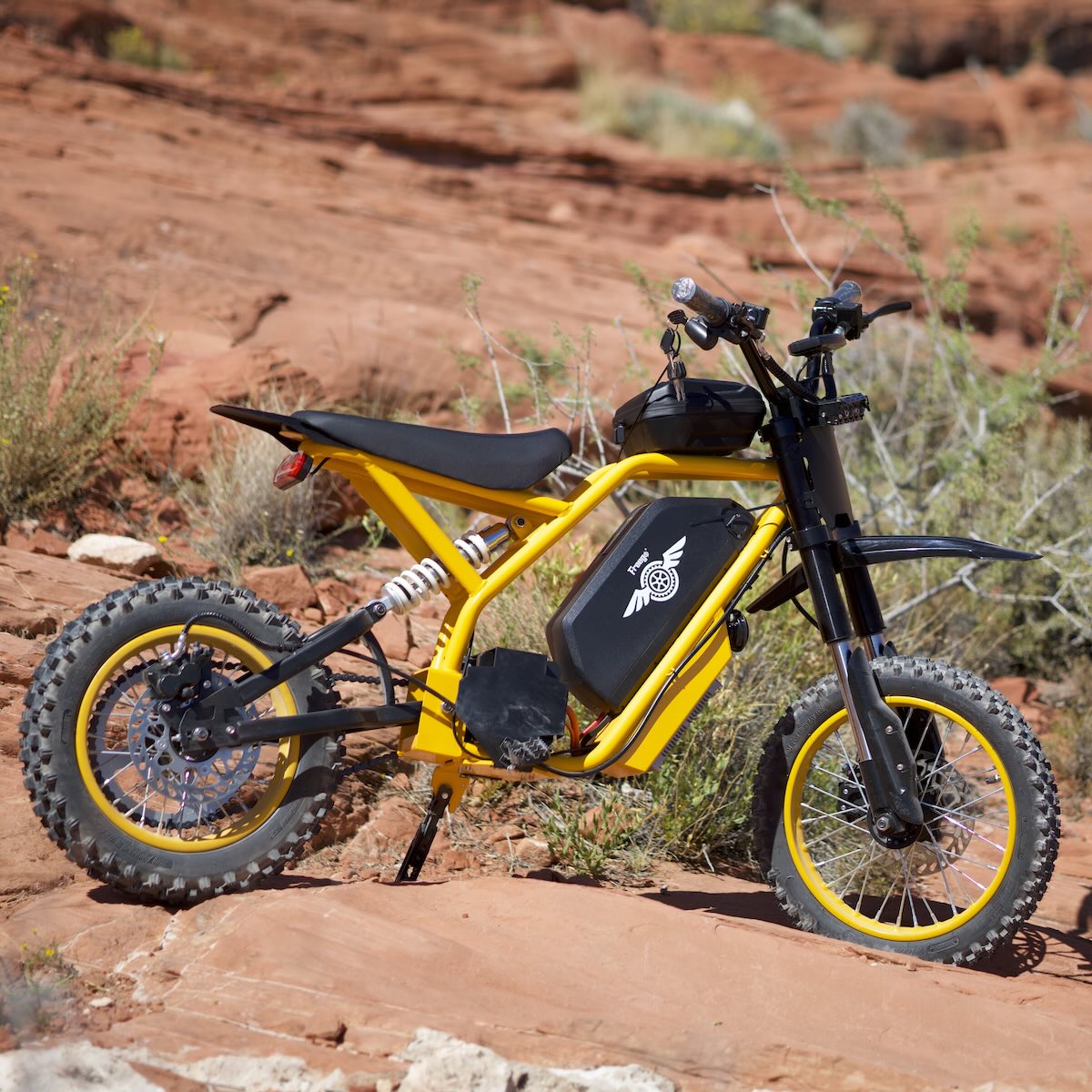 Freego Nova 2 Electric Bike side view