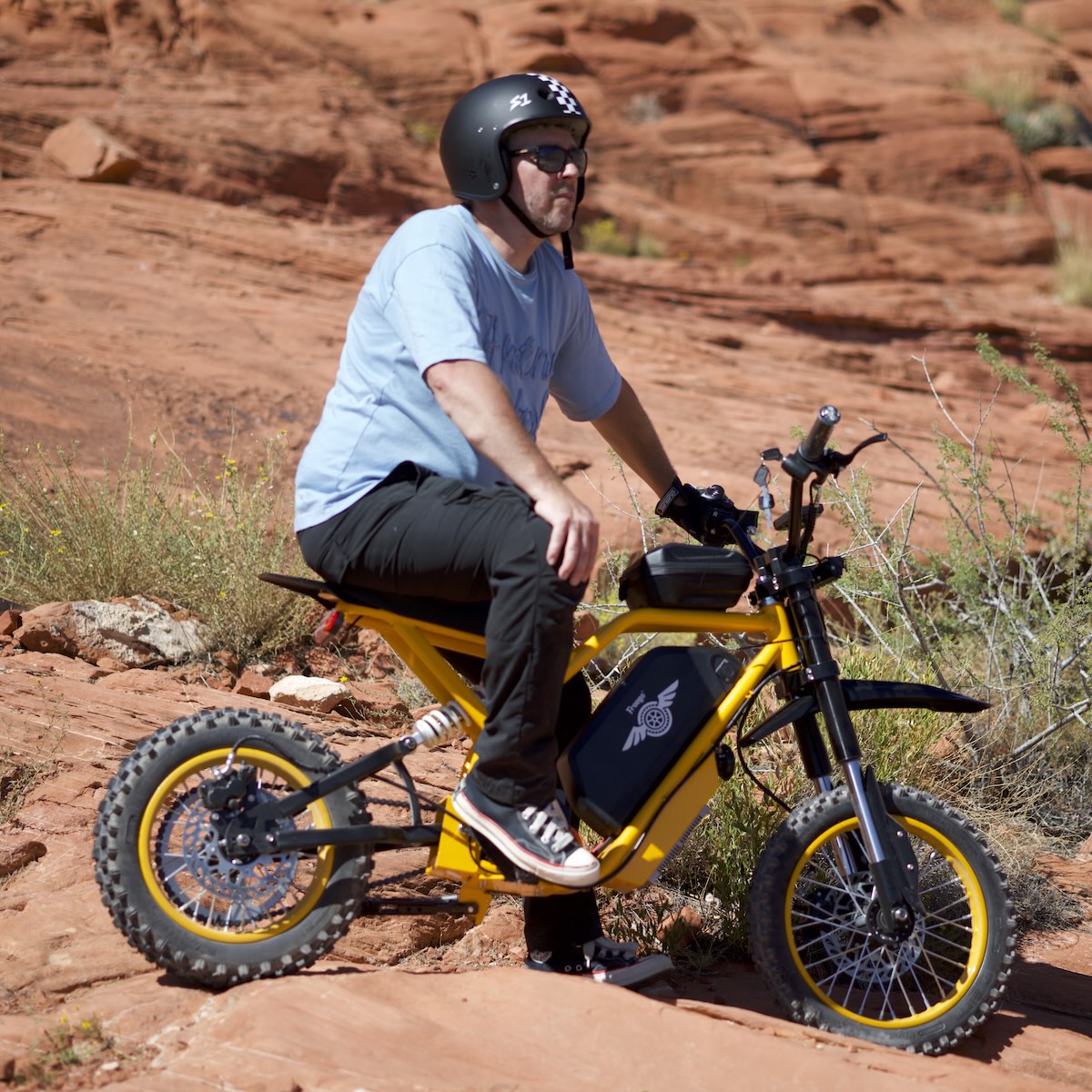 Freego Nova 2 Electric Bike person riding