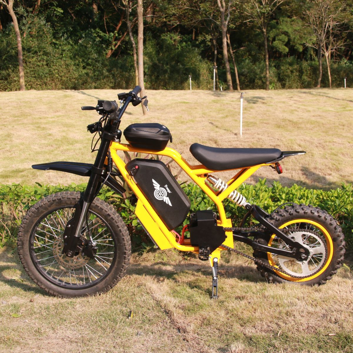 Freego Nova 2 Mid-Drive Youth Electric Dirt Bike