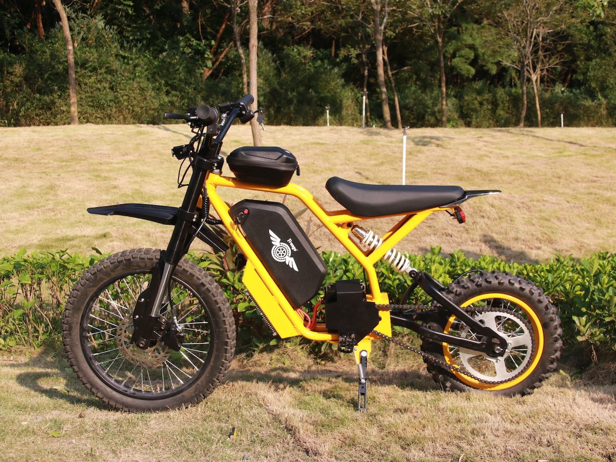 Freego Nova 2 electric bike on a grassy field with trees in the background