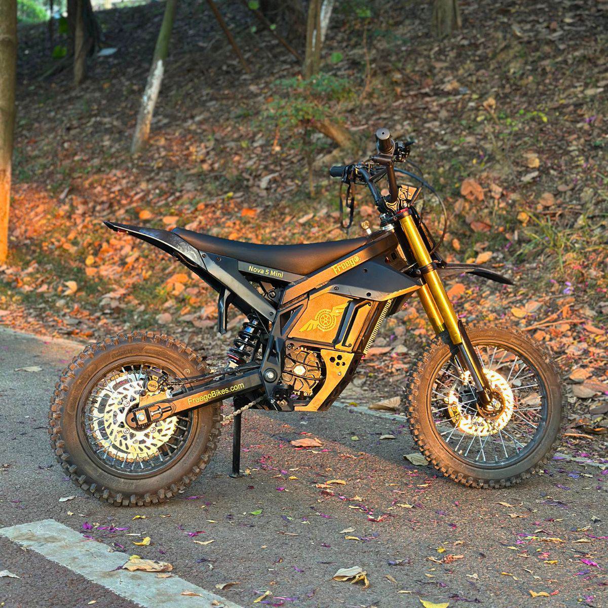 Nova 5 Mini ebike parked on a road with a natural background