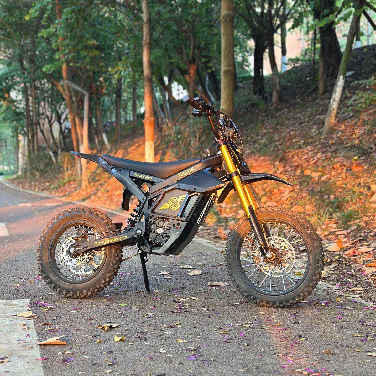 Full view of the Freego Nova 5 Mini e-bike displayed outdoors