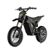 Freego Nova 5 Mini Ebike for Teens and Adults