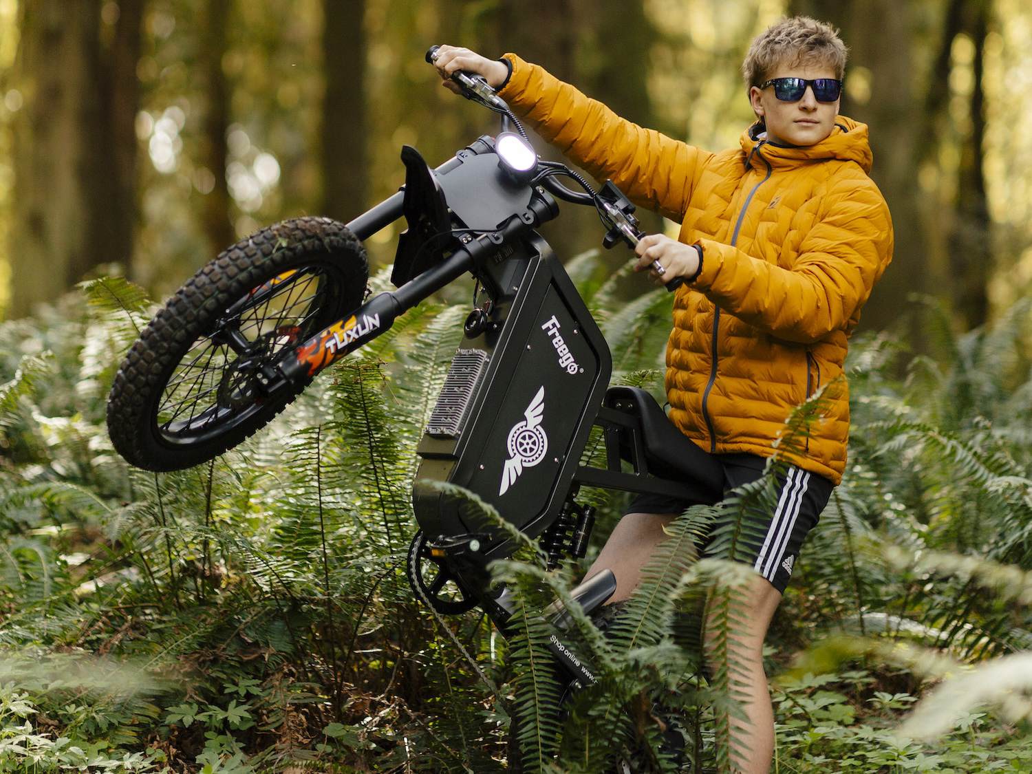 Freego X1 electric dirt bike viewed from the front on a forest trail.