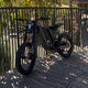 FreegoRides