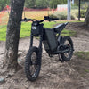 lbxdyl19