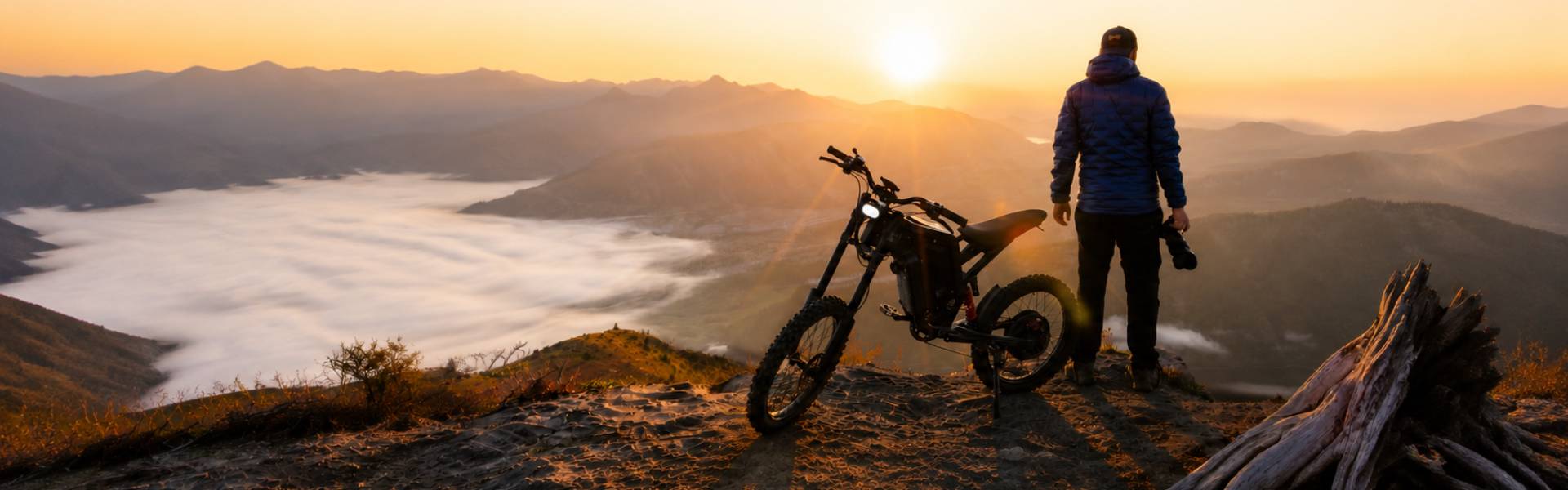 Freego X2 electric bike