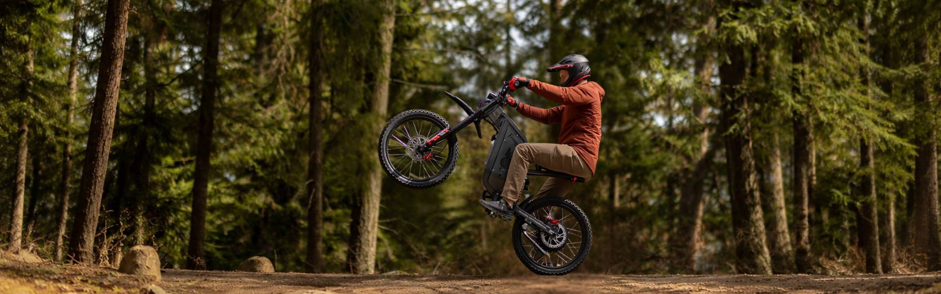 Freego X2 Pro electric bike