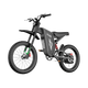 Freego X2 Pro All-Terrain Dirt eBike