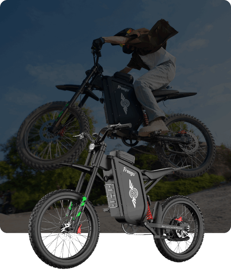 Freego Official Store | Powerful eBikes, eMotos and eScooters ...