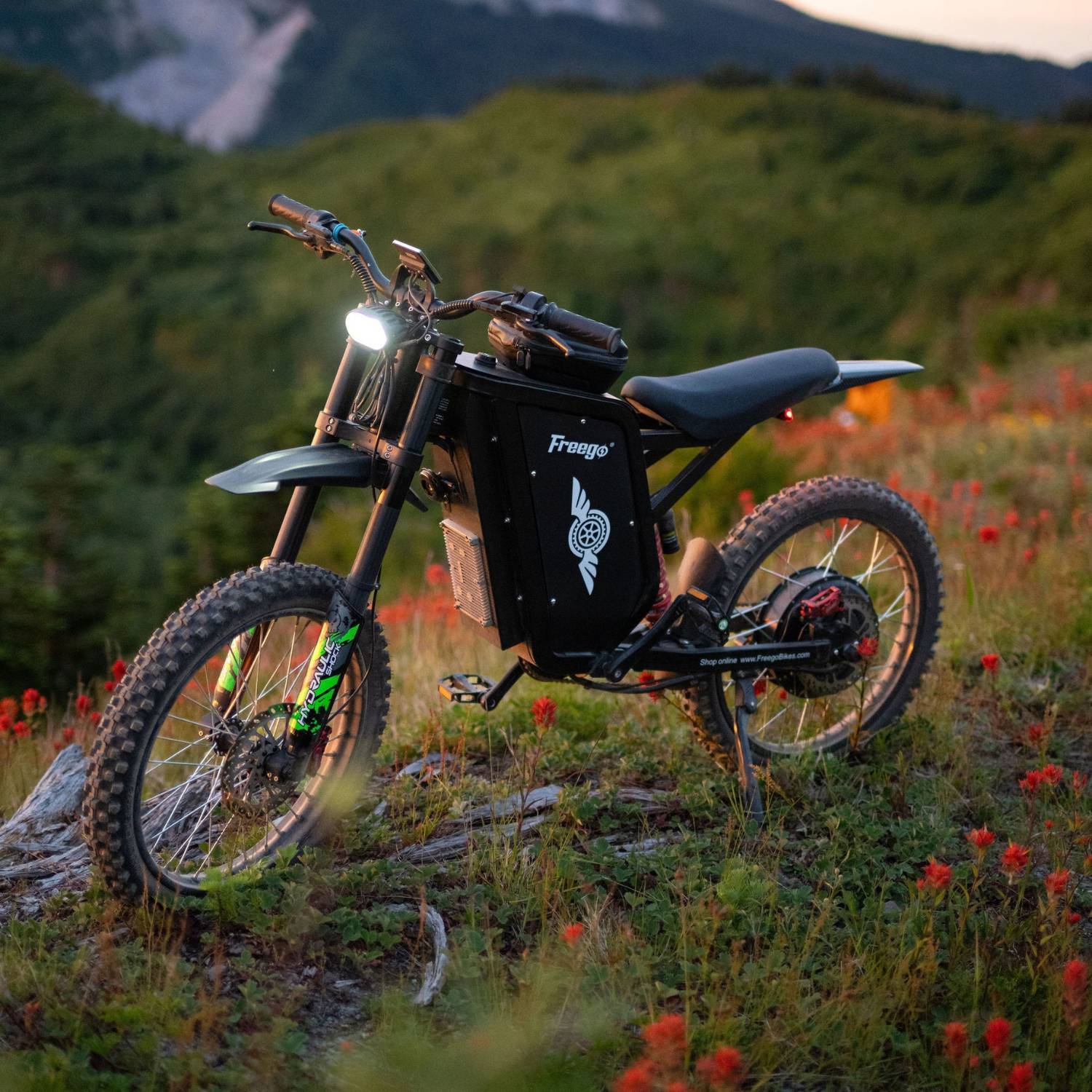 Freego X3 All-Terrain Electric Dirt Bike with Pedals, 40Ah (In Stock) / 4-Year