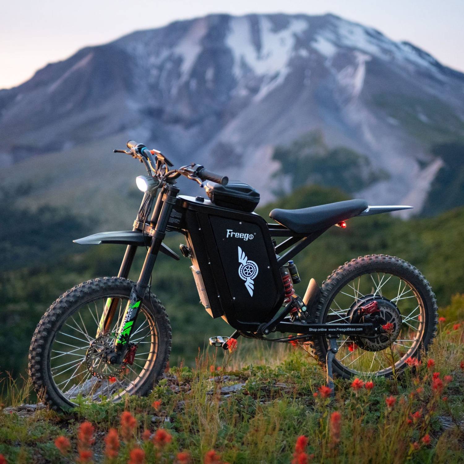Freego X3 / X3 Pro All-Terrain Electric Dirt Bike with Pedals, X3 (40Ah)