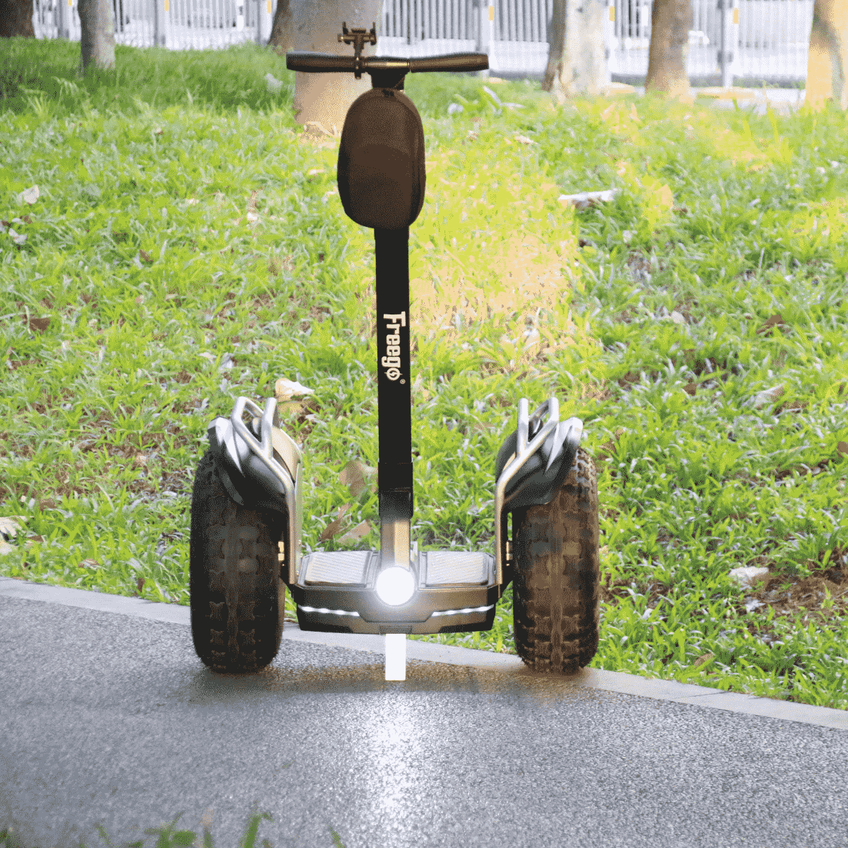 Segway on a paved path with grass and trees in the background