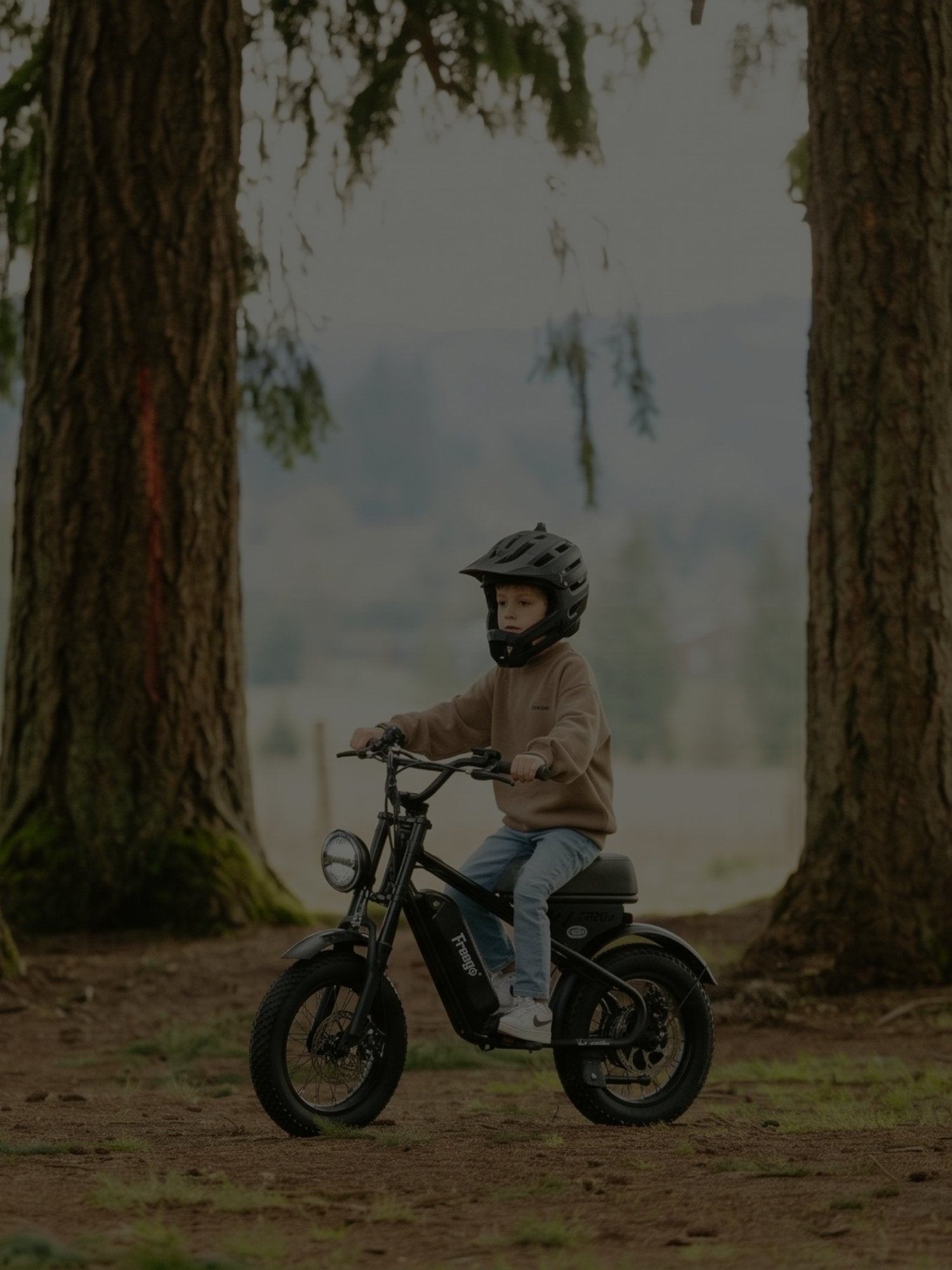 Child riding a small motorcycle freego M1 in a forest setting