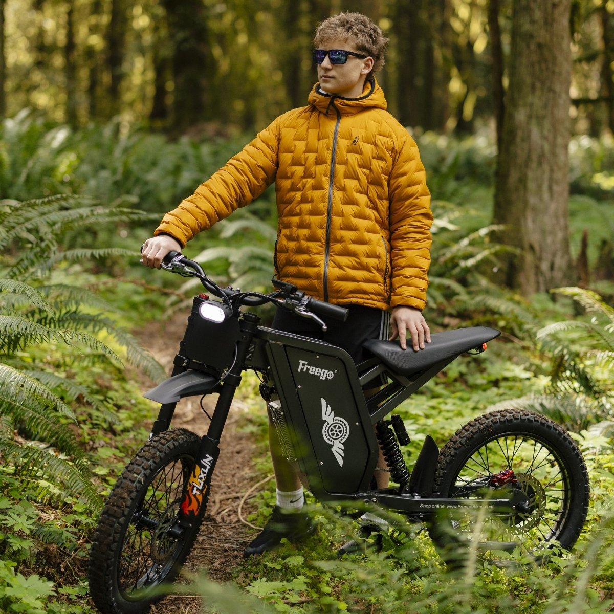 freego X1 series Person riding a black electric bike