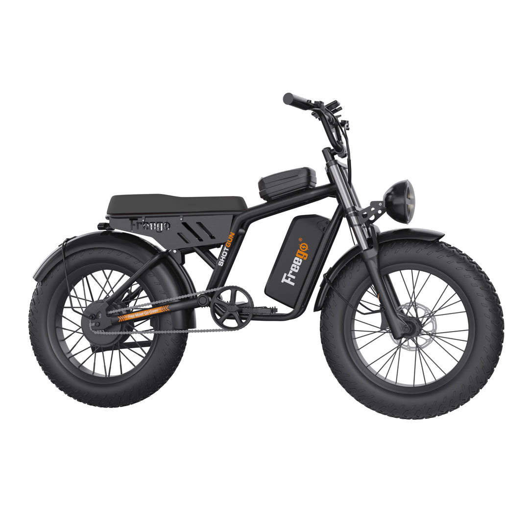 1000W Motor E-bike
