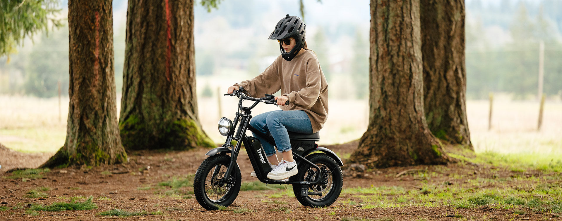 mini motorcycle electric bike