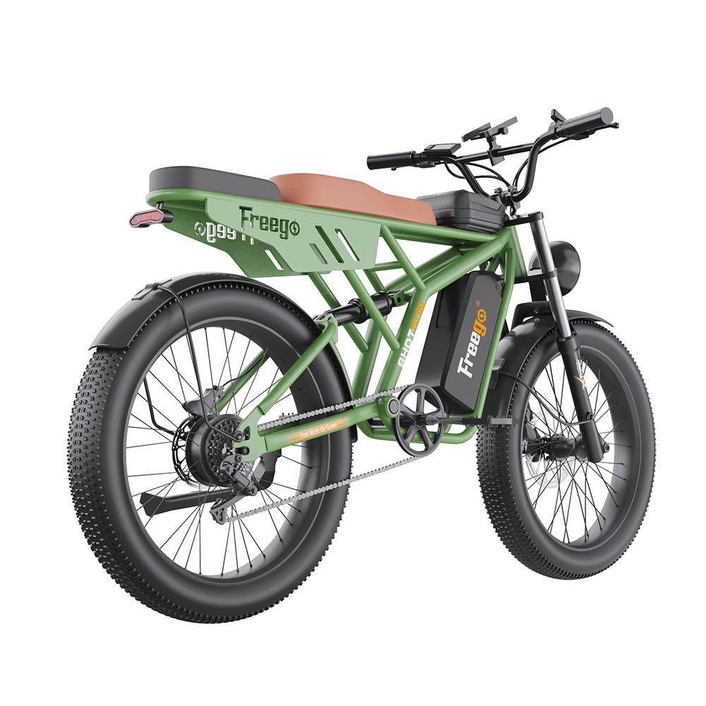 Cargo Electric Mountain Bike