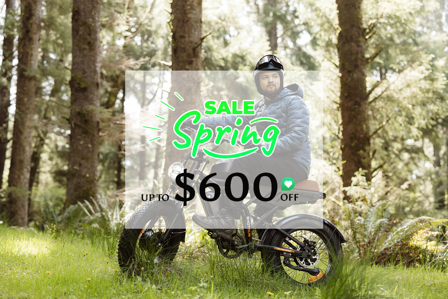 freego spring sale banner