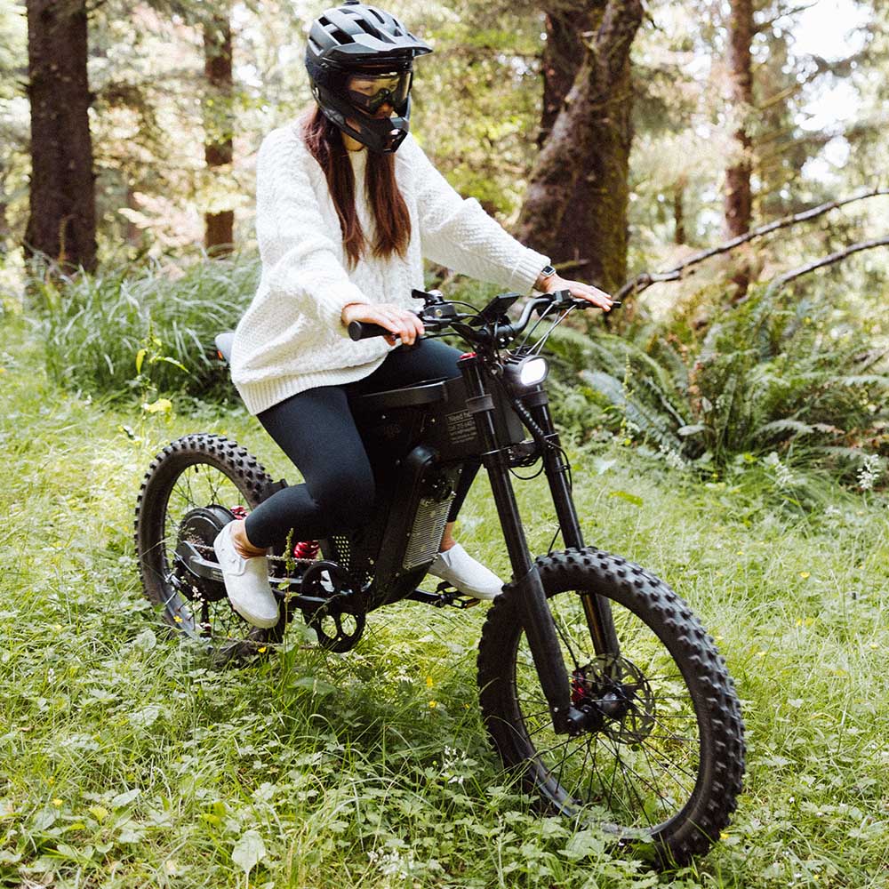 x2 adult electric bicycle