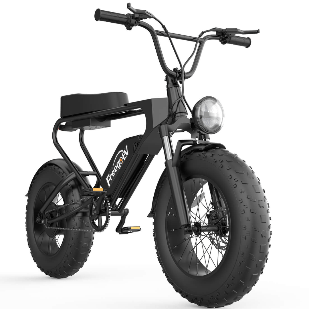 Freego electric bikes liquidation sale