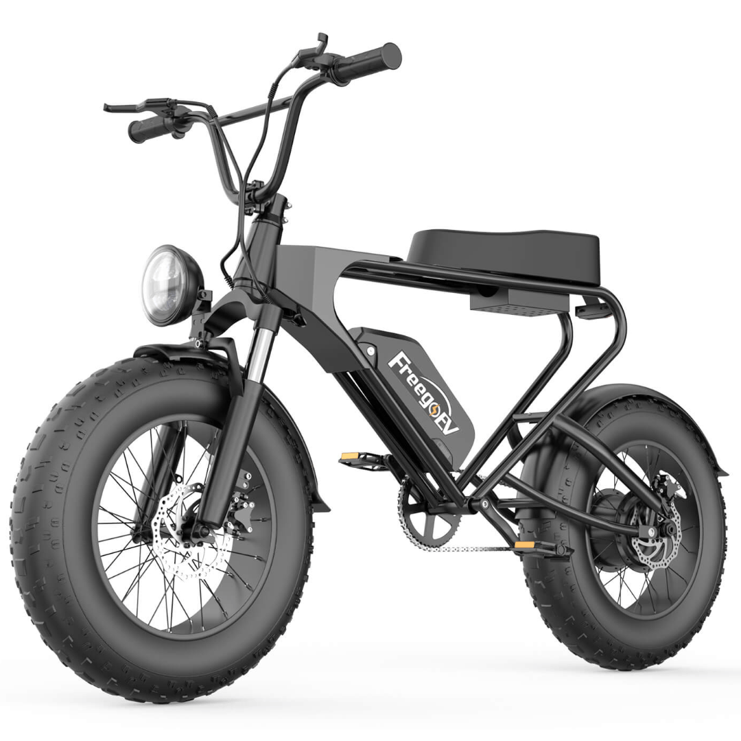 Freego DK200 Off Road Mountain Electric Bike