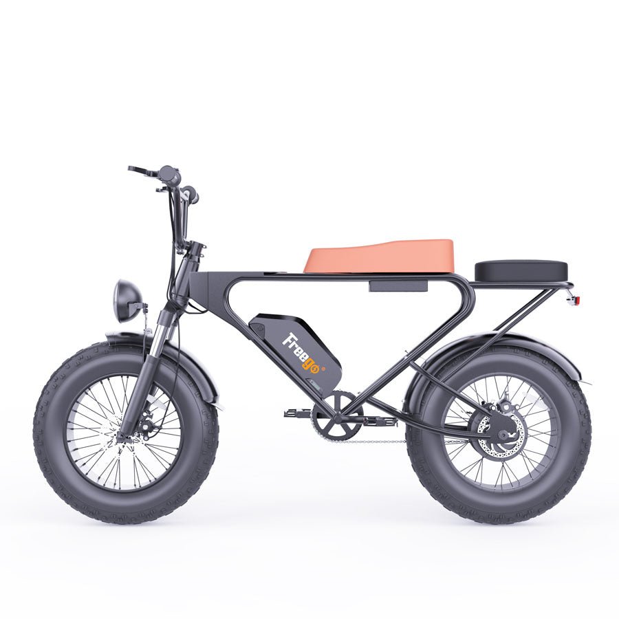 DK200 PRO ebike