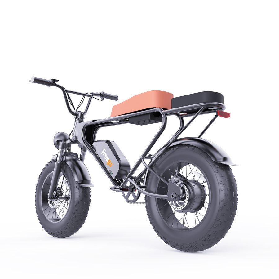 DK200 PRO ebike black