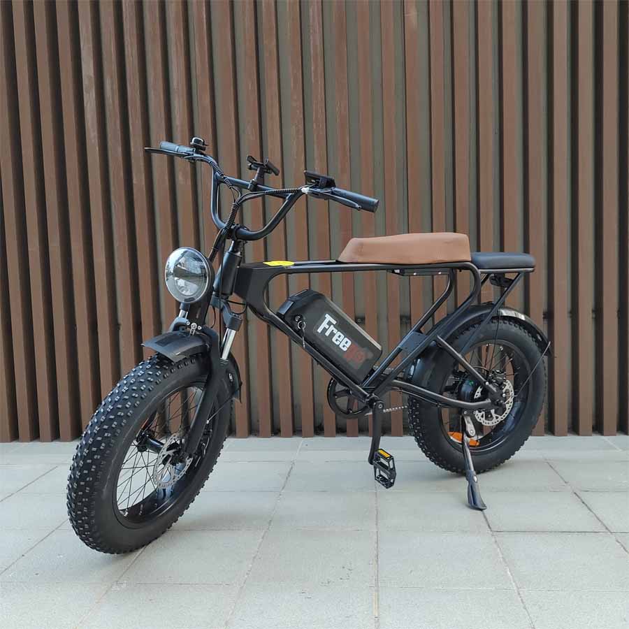Freego DK200 Off Road Mountain Electric Bike 20'' Fat tires 20Ah Lithium Battery