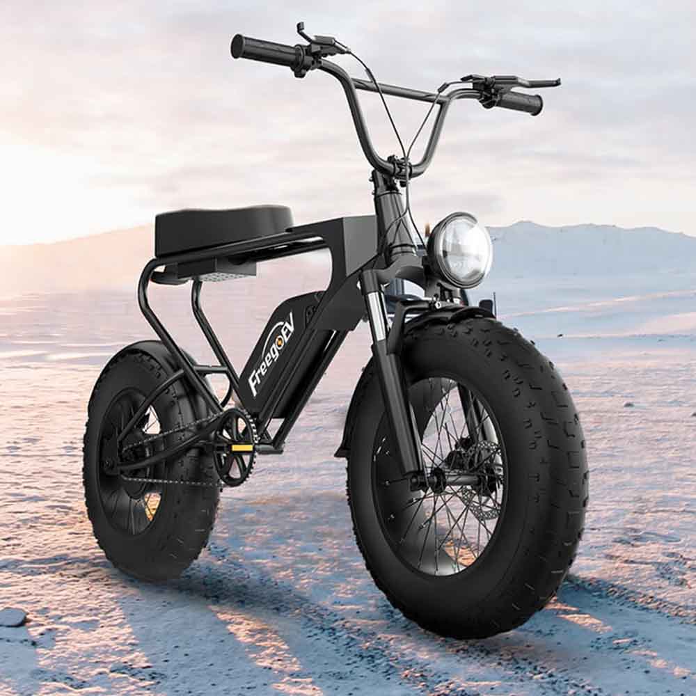 freego dk200 snow electric bike