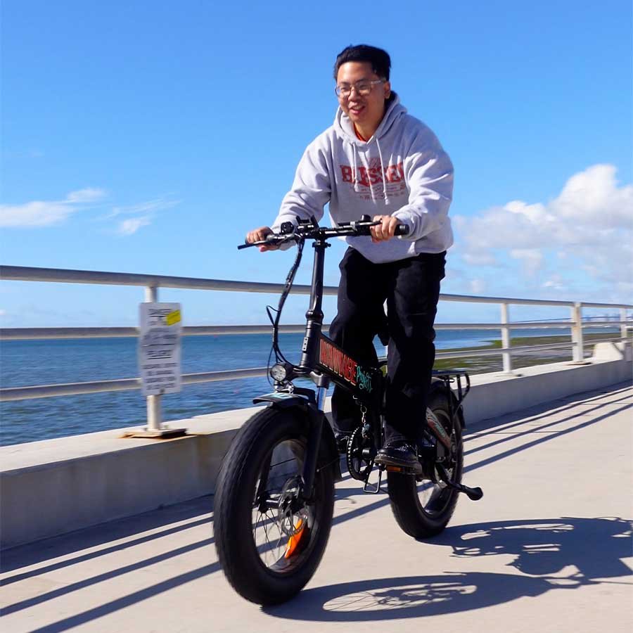 Freego E1 city electric bicycle