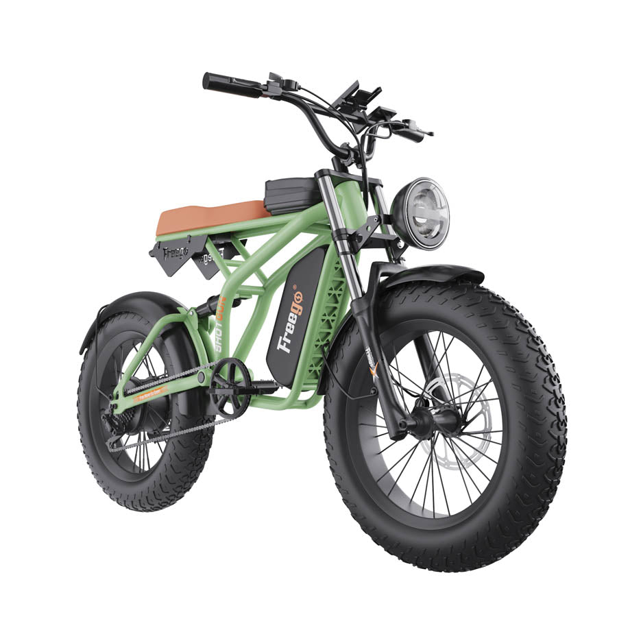 Freego F1 Pro 20‘’4 Fat Tires Electric Bike