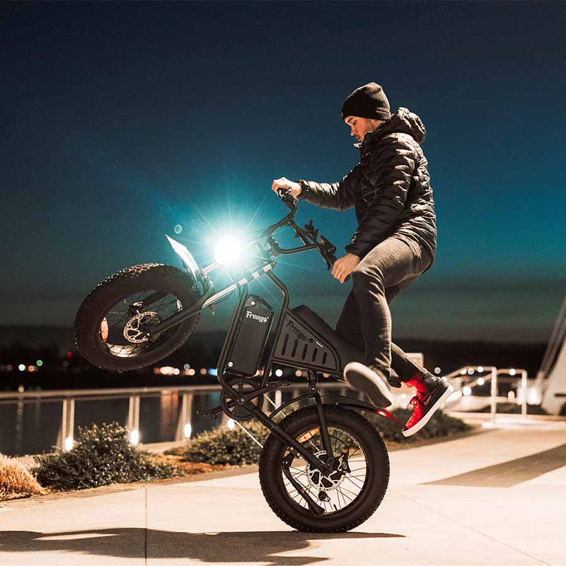 Freego Nachbike Swift S1 electric bicycle